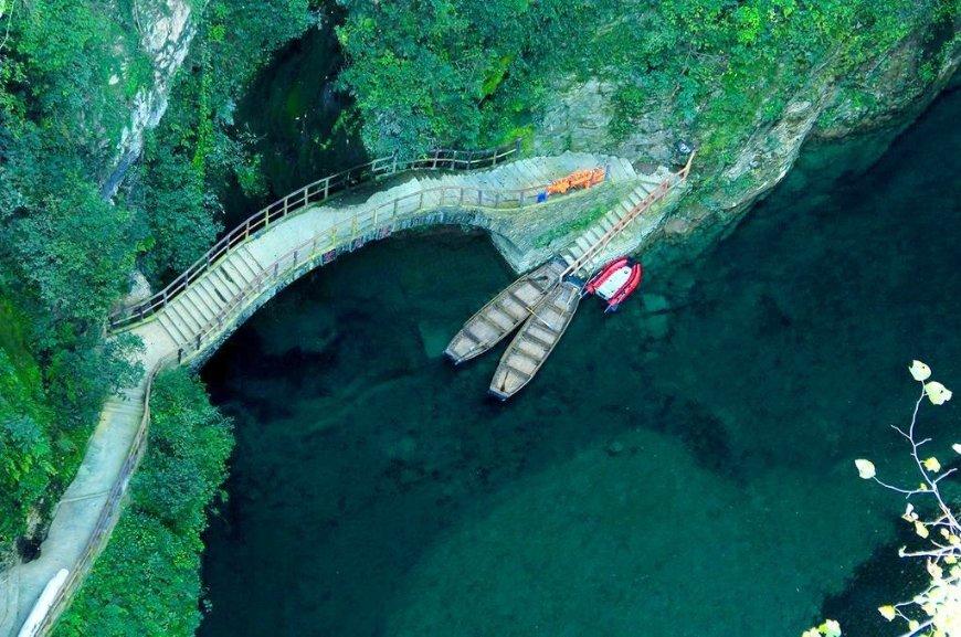 超能动物联盟
